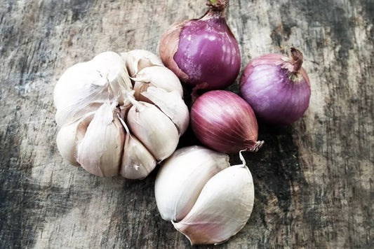 Schema de tratament pentru culturile de ceapa si usturoi in sistem ecologic