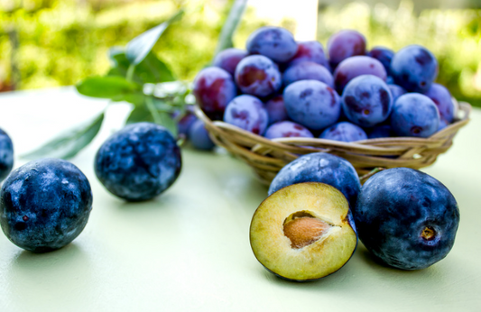 Tratamente si nutritie pentru pomi samburosi in perioada de crestere activa