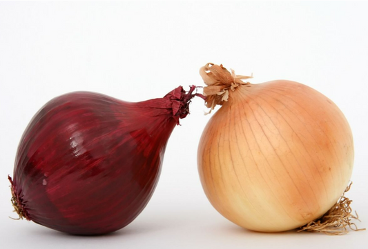 Plantarea cepei in conditii optime: cum, unde si cand se planteaza + cum se ingrijeste cultura in mod eficient