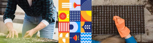 Tipuri de seminte. Ce alegem?