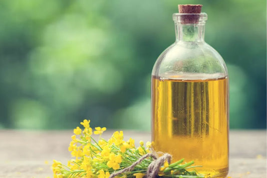 Tot ce trebuie sa stii despre infiintarea culturii de rapita