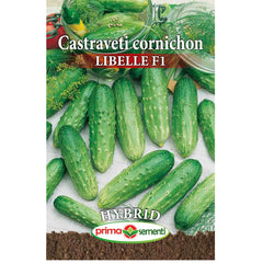 Seminte de castraveti profesionale LIBELLE F1, 1 gram, Prima Sementi