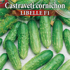 Seminte de castraveti profesionale LIBELLE F1, 1 gram, Prima Sementi