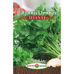 Seminte de patrunjel profesionale TITAN F1, 1,5 grame, Prima Sementi