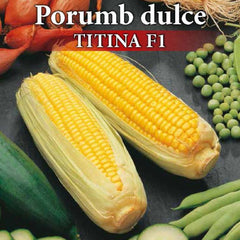 Seminte de porumb dulce profesionale TITINA F1, 10 grame, Prima Sementi