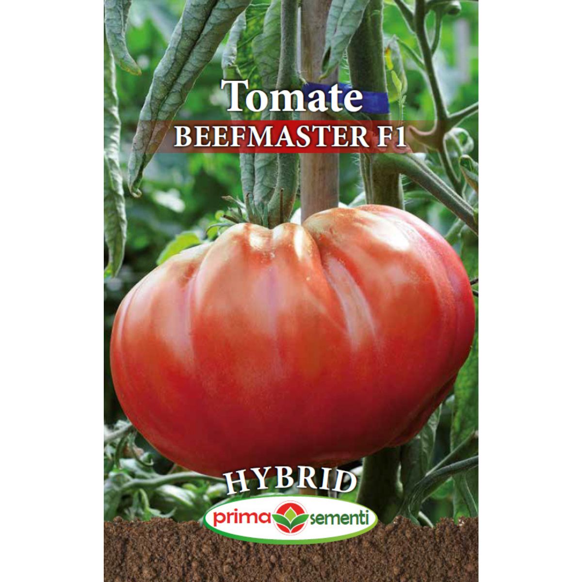 Seminte de tomate profesionale BEEFMASTER F1, 0,3 grame, Prima Sementi, 1, hectarul.ro