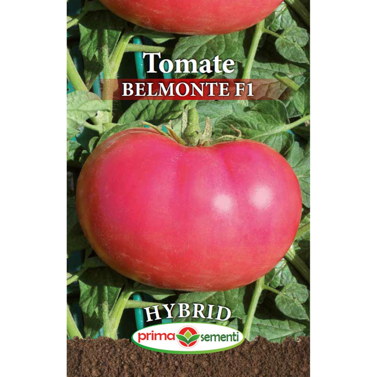 Seminte de tomate profesionale BELMONTE F1, 0,3 grame, Prima Sementi, 1, hectarul.ro