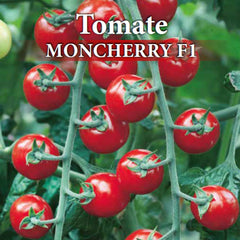 Seminte de tomate profesionale MONCHERRY F1 0,5 grame Prima Sementi