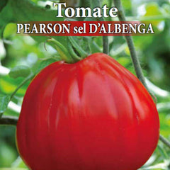 Seminte de tomate profesionale PEARSON D'ALBENGA F1, 0,3 grame, Prima Sementi
