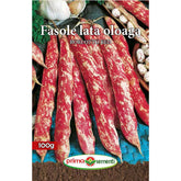 Hectarul - Seminte de fasole oloaga BORLOTTO RED 100 grame, Prima Sementi