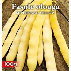 Seminte de fasole oloaga SUPERNANO YELLOW 100 grame, Prima Sementi