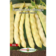 Seminte de fasole oloaga SUPERNANO YELLOW 50 grame, Prima Sementi