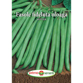 Hectarul - Seminte de fasole oloaga WOTTER 100 grame Prima Sementi