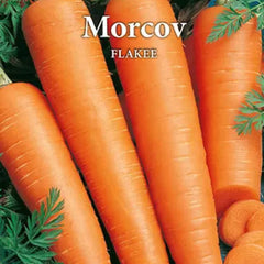 Seminte de morcovi FLAKKE 50 grame Prima Sementi