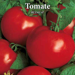 Seminte de tomate BUZAU 47, 0,3 grame, Prima Sementi