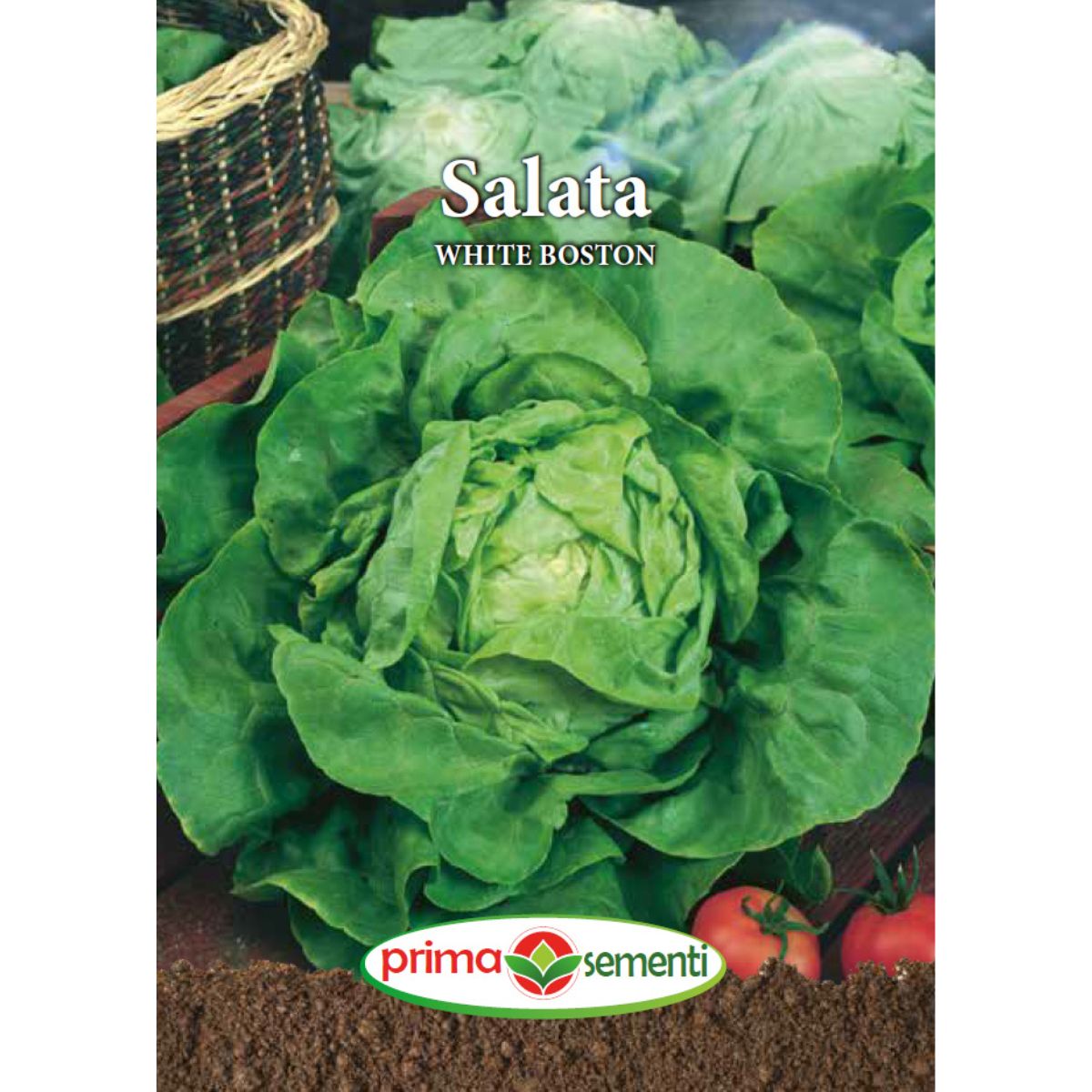 Seminte de salata WHITE BOSTON, 3 grame, Prima Sementi, 1, hectarul.ro