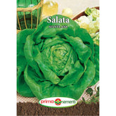 Hectarul - Seminte de salata S.ANNA, 3 grame, Prima Sementi
