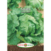 Hectarul - Seminte de salata GREAT LAKES, 3 grame, Prima Sementi