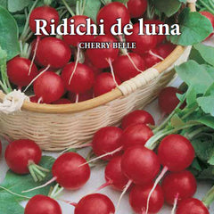 Seminte de ridichi de luna CHERRY BELLE, 6 grame, Prima Sementi