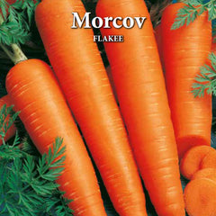 Seminte de morcovi FLAKEE, 5 grame, Prima Sementi