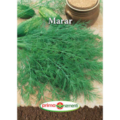 Seminte de marar 2 grame Prima Sementi