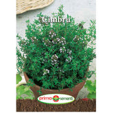 Hectarul - Seminte de cimbru 0,4 grame Prima Sementi