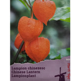 Hectarul - Seminte de Physalis Peruviana, 0.2 grame