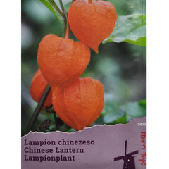 Seminte de Physalis Peruviana, 0.2 grame