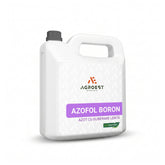 Hectarul - Fertilizant foliar AZOFOL BORON 10 L cu azot bor și sulf în formulare cu lignosulfonați