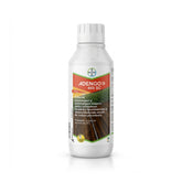 Hectarul - Erbicid preemergent porumb Adengo SC 465, 1 L