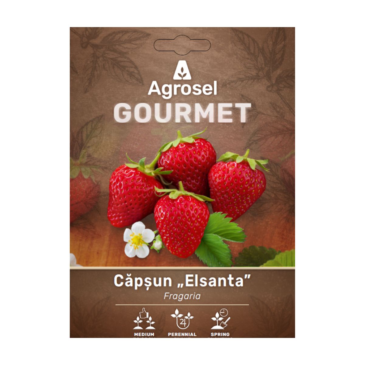 Set 3 Stoloni Căpșun „Elsanta”, Agrosel, 1, hectarul.ro