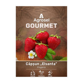 Hectarul - Set 3 Stoloni Căpșun „Elsanta”, Agrosel