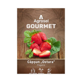 Hectarul - Set 3 Stoloni Căpșun „Ostara”, Agrosel