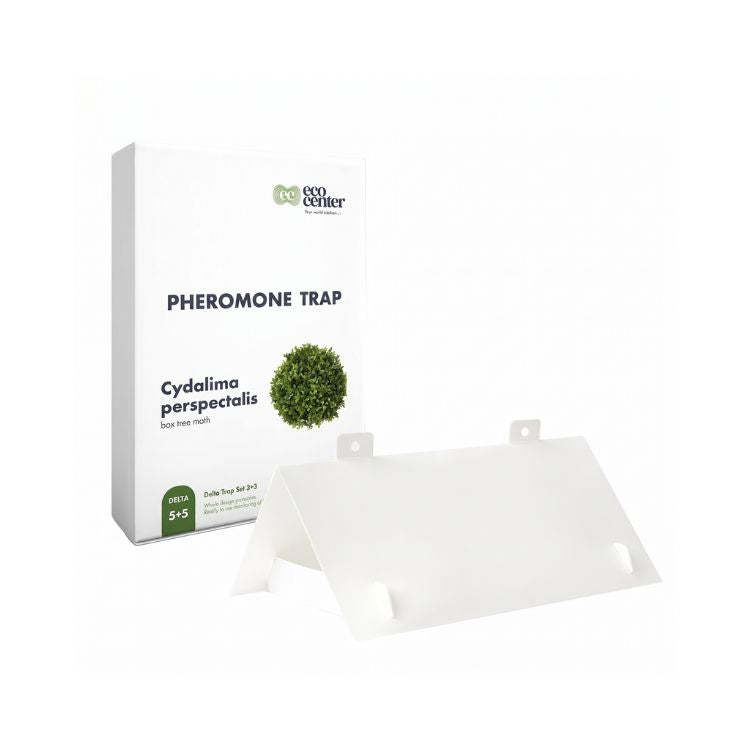 Set 5 Capcane cu Feromoni pentru Molia Buxusului – Cydalima perspectalis, 1, hectarul.ro