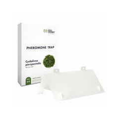 Set 5 Capcane cu Feromoni pentru Molia Buxusului – Cydalima perspectalis