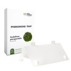 Capcana Delta Paper pentru Cydalima perspectalis set 5+5