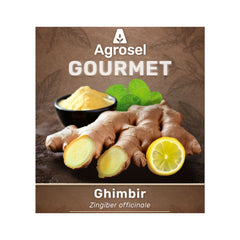 Stolon Ghimbir – 1 Bucată, Agrosel