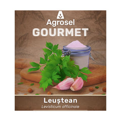 Stolon Leuștean – 1 Bucată, Agrosel