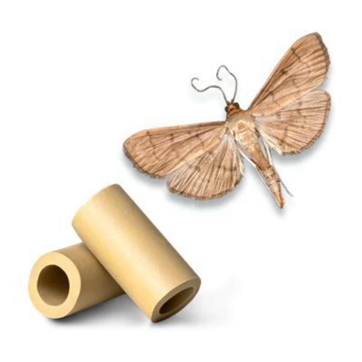 Set 5 capcane si 5 feromoni Ostrinia Nubilalis, 1, hectarul.ro