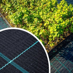 Agrotextil negru, 1.6x100, 70 GR, GEOCOVER