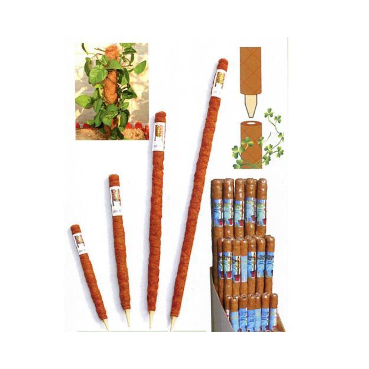 Arac spiralat pentru plante Garden COCO, 4,5x060 cm, 1, hectarul.ro