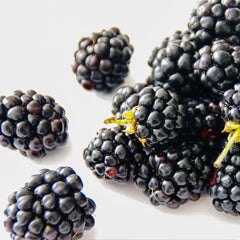 Arbust fructifer - Mur Yurta