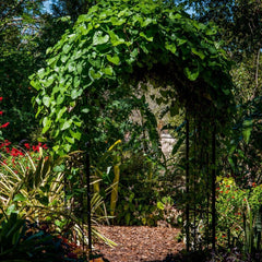 Arcada metalica, pergola, pentru gradina, 240x37x140x1.2 cm