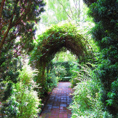 Arcada metalica, pergola, pentru gradina, 240x37x140x1.2 cm