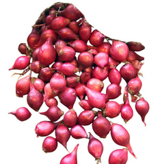 Arpagic RED KARMEN, calibru 8/21 mm,1 kilogram