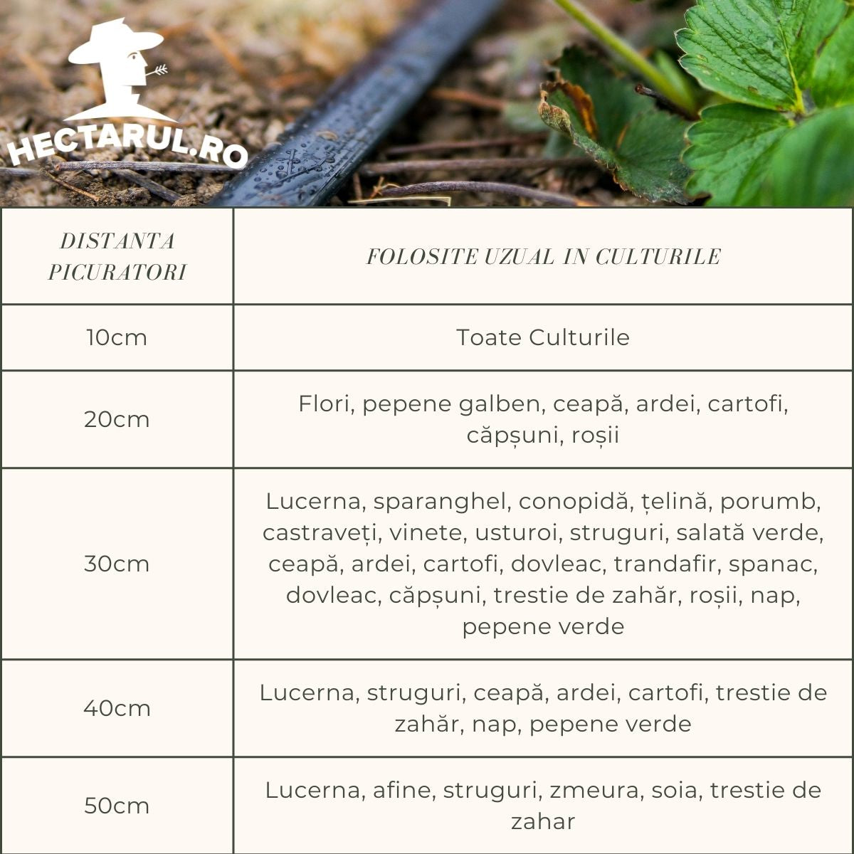 Banda de Picurare cu distanta intre picuratori 20cm, 150ML, 1, hectarul.ro