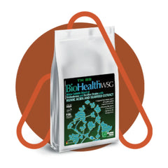 Biostimulator ecologic BIO HEALTH WSG 25KG