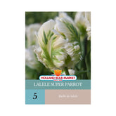 Hectarul - Bulbi de lalele Super Parrot, 5 bulbi