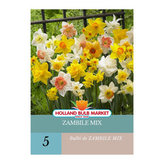 Bulbi de narcise MIX , 5 bulbi