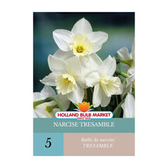 Bulbi de narcise Tresamble, 5 bulbi